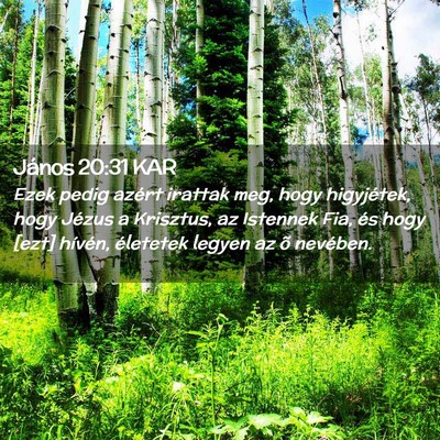 Picture 02 - János 20:31 KAR - Ezek pedig azért irattak meg, hogy higyjétek, - Bible Verse Picture