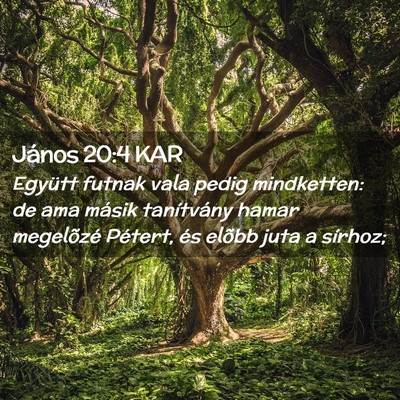 Picture 02 - János 20:4 KAR - Együtt futnak vala pedig mindketten: de ama - Bible Verse Picture