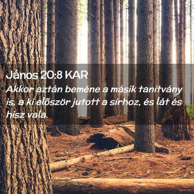 Picture 02 - János 20:8 KAR - Akkor aztán beméne a másik tanítvány is, a - Bible Verse Picture