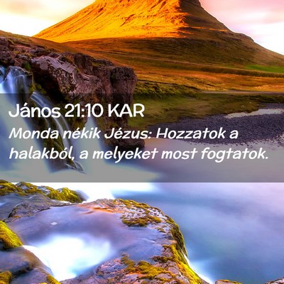 Picture 02 - János 21:10 KAR - Monda nékik Jézus: Hozzatok a halakból, a - Bible Verse Picture