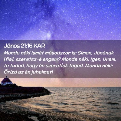 Picture 02 - János 21:16 KAR - Monda néki ismét másodszor is: Simon, - Bible Verse Picture