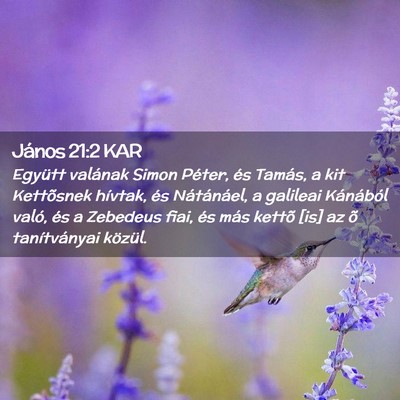 Picture 02 - János 21:2 KAR - Együtt valának Simon Péter, és Tamás, a kit - Bible Verse Picture