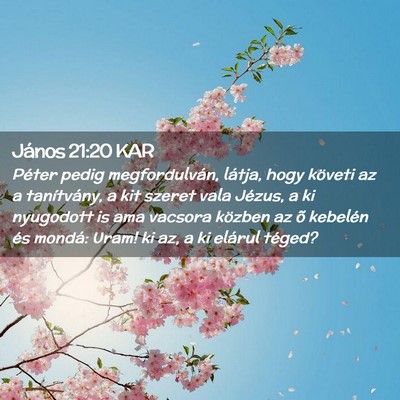 Picture 02 - János 21:20 KAR - Péter pedig megfordulván, látja, hogy követi - Bible Verse Picture