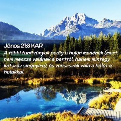 Picture 02 - János 21:8 KAR - A többi tanítványok pedig a hajón menének - Bible Verse Picture