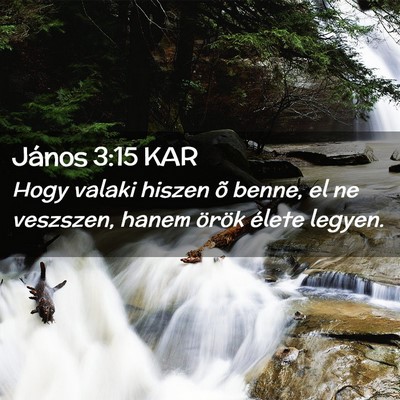 Picture 02 - János 3:15 KAR - Hogy valaki hiszen õ benne, el ne veszszen, - Bible Verse Picture