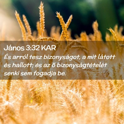 Picture 02 - János 3:32 KAR - És arról tesz bizonyságot, a mit látott és - Bible Verse Picture