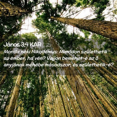 Picture 02 - János 3:4 KAR - Monda néki Nikodémus: Mimódon születhetik az - Bible Verse Picture