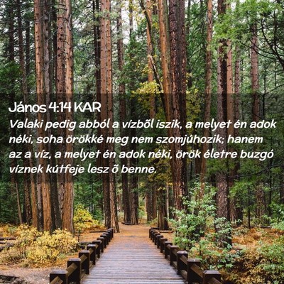 Picture 02 - János 4:14 KAR - Valaki pedig abból a vízbõl iszik, a melyet - Bible Verse Picture