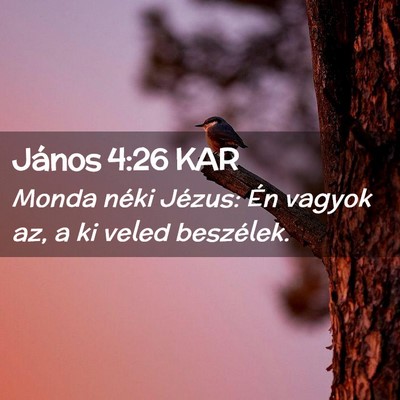 Picture 02 - János 4:26 KAR - Monda néki Jézus: Én vagyok az, a ki veled - Bible Verse Picture