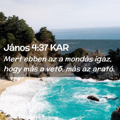 Picture 02 - János 4:37 KAR - Mert ebben az a mondás igaz, hogy más a vetõ, - Bible Verse Picture