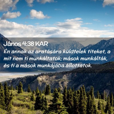 Picture 02 - János 4:38 KAR - Én annak az aratására küldtelek titeket, a - Bible Verse Picture