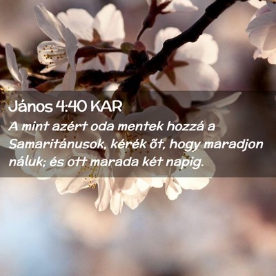 Picture 02 - János 4:40 KAR - A mint azért oda mentek hozzá a Samaritánusok, - Bible Verse Picture
