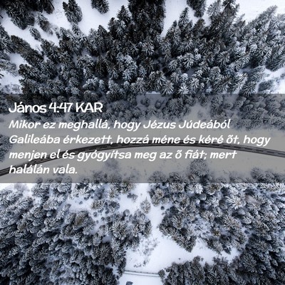 Picture 02 - János 4:47 KAR - Mikor ez meghallá, hogy Jézus Júdeából - Bible Verse Picture
