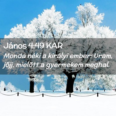 Picture 02 - János 4:49 KAR - Monda néki a királyi ember: Uram, jõjj, - Bible Verse Picture