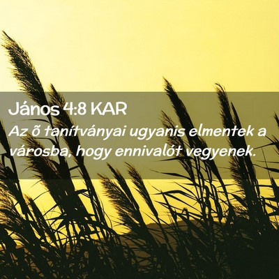 Picture 02 - János 4:8 KAR - Az õ tanítványai ugyanis elmentek a városba, - Bible Verse Picture