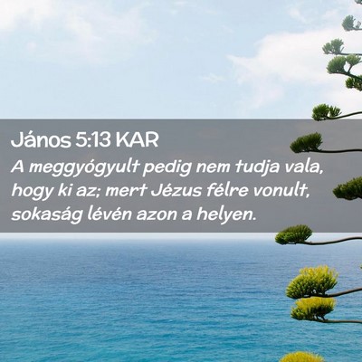 Picture 02 - János 5:13 KAR - A meggyógyult pedig nem tudja vala, hogy ki az; - Bible Verse Picture