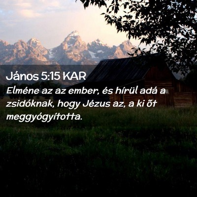 Picture 02 - János 5:15 KAR - Elméne az az ember, és hírül adá a - Bible Verse Picture