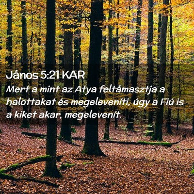 Picture 02 - János 5:21 KAR - Mert a mint az Atya feltámasztja a halottakat - Bible Verse Picture