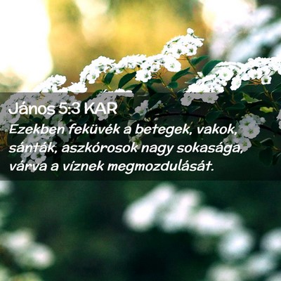 Picture 02 - János 5:3 KAR - Ezekben feküvék a betegek, vakok, sánták, - Bible Verse Picture