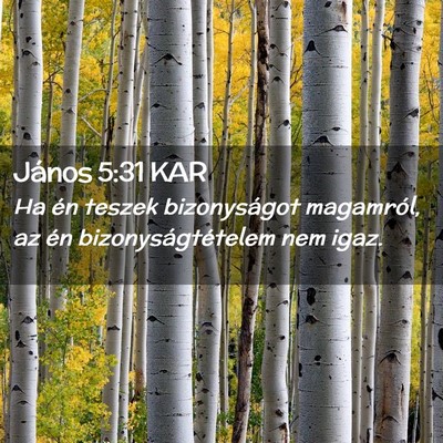 Picture 02 - János 5:31 KAR - Ha én teszek bizonyságot magamról, az én - Bible Verse Picture
