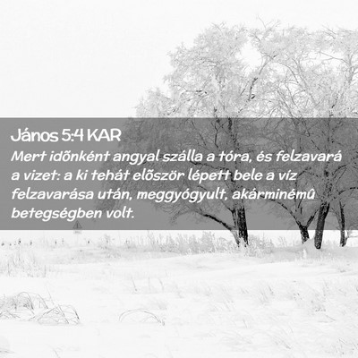 Picture 02 - János 5:4 KAR - Mert idõnként angyal szálla a tóra, és - Bible Verse Picture