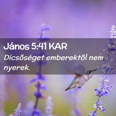 Picture 02 - János 5:41 KAR - Dicsõséget emberektõl nem - Bible Verse Picture