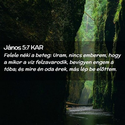 Picture 02 - János 5:7 KAR - Felele néki a beteg: Uram, nincs emberem, hogy a - Bible Verse Picture