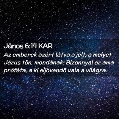 Picture 02 - János 6:14 KAR - Az emberek azért látva a jelt, a melyet Jézus - Bible Verse Picture
