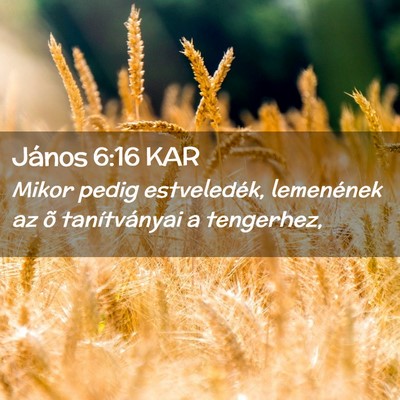 Picture 02 - János 6:16 KAR - Mikor pedig estveledék, lemenének az õ - Bible Verse Picture