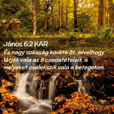 Picture 02 - János 6:2 KAR - És nagy sokaság követé õt, mivelhogy - Bible Verse Picture