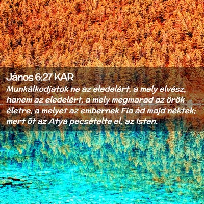 Picture 02 - János 6:27 KAR - Munkálkodjatok ne az eledelért, a mely elvész, - Bible Verse Picture