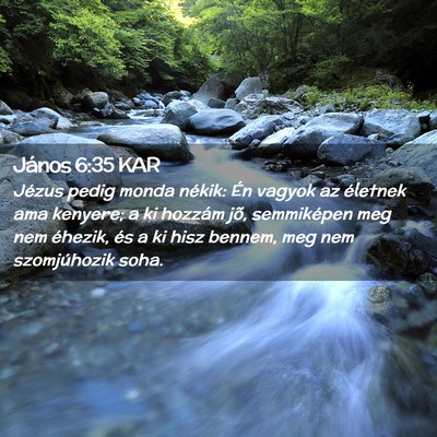 Picture 02 - János 6:35 KAR - Jézus pedig monda nékik: Én vagyok az életnek - Bible Verse Picture