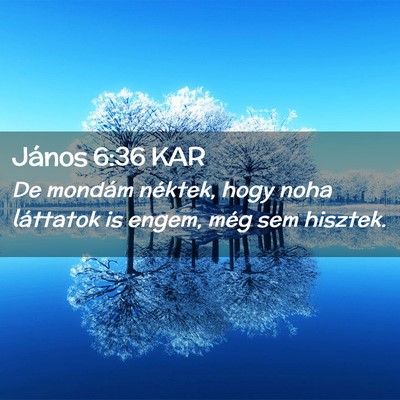 Picture 02 - János 6:36 KAR - De mondám néktek, hogy noha láttatok is engem, - Bible Verse Picture