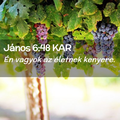 Picture 02 - János 6:48 KAR - Én vagyok az életnek - Bible Verse Picture