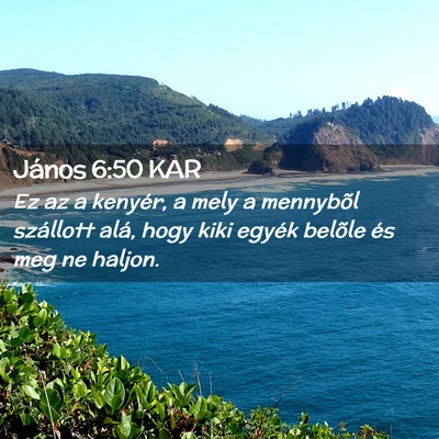 Picture 02 - János 6:50 KAR - Ez az a kenyér, a mely a mennybõl szállott - Bible Verse Picture