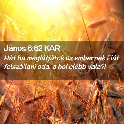 Picture 02 - János 6:62 KAR - Hát ha meglátjátok az embernek Fiát - Bible Verse Picture