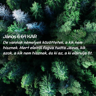 Picture 02 - János 6:64 KAR - De vannak némelyek közöttetek, a kik nem - Bible Verse Picture