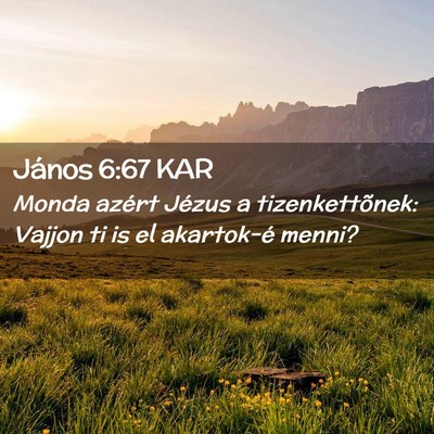Picture 02 - János 6:67 KAR - Monda azért Jézus a tizenkettõnek: Vajjon ti - Bible Verse Picture