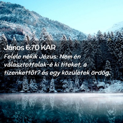 Picture 02 - János 6:70 KAR - Felele nékik Jézus: Nem én választottalak-é - Bible Verse Picture