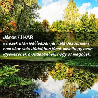 Picture 02 - János 7:1 KAR - És ezek után Galileában jár vala Jézus; mert - Bible Verse Picture