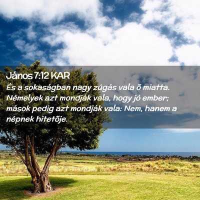 Picture 02 - János 7:12 KAR - És a sokaságban nagy zúgás vala õ miatta. - Bible Verse Picture