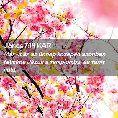 Picture 02 - János 7:14 KAR - Már-már az ünnep közepén azonban felméne - Bible Verse Picture