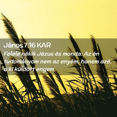 Picture 02 - János 7:16 KAR - Felele nékik Jézus és monda: Az én - Bible Verse Picture