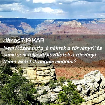 Picture 02 - János 7:19 KAR - Nem Mózes adta-é néktek a törvényt? és - Bible Verse Picture