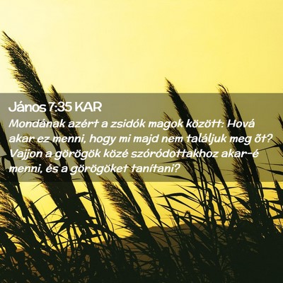 Picture 02 - János 7:35 KAR - Mondának azért a zsidók magok között: Hová - Bible Verse Picture