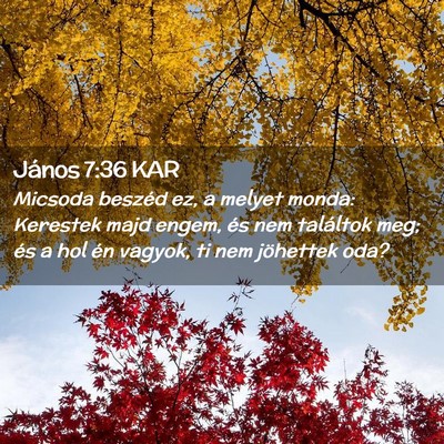 Picture 02 - János 7:36 KAR - Micsoda beszéd ez, a melyet monda: Kerestek majd - Bible Verse Picture