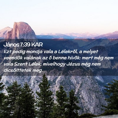 Picture 02 - János 7:39 KAR - Ezt pedig mondja vala a Lélekrõl, a melyet - Bible Verse Picture