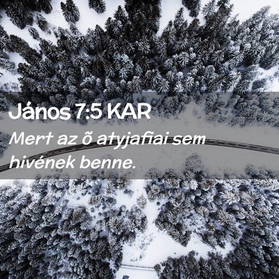Picture 02 - János 7:5 KAR - Mert az õ atyjafiai sem hivének - Bible Verse Picture
