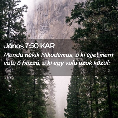 Picture 02 - János 7:50 KAR - Monda nékik Nikodémus, a ki éjjel ment vala õ - Bible Verse Picture