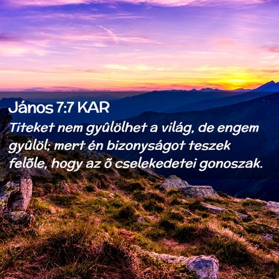 Picture 02 - János 7:7 KAR - Titeket nem gyûlölhet a világ, de engem - Bible Verse Picture